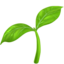 Seedling emoji, Apple design