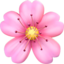 Cherry Blossom emoji, Apple design
