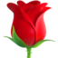 Rose on Apple