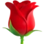 Rose on Apple