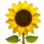 Sunflower emoji, Apple design