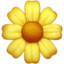 Blossom emoji, Apple design