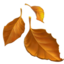Fallen Leaf emoji, Apple design