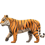 Tiger emoji, Apple design