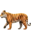 Tiger emoji on iPhone