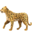 Leopard emoji PNG