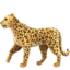Leopard emoji on iPhone