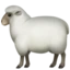 Ewe emoji on iPhone