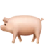 Pig emoji on iPhone