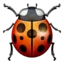 Lady Beetle emoji on iPhone