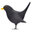 Black Bird emoji PNG