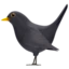 Black Bird emoji on iPhone