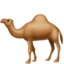 Camel emoji on iPhone