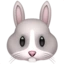 Rabbit Face emoji on iPhone
