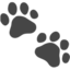 Paw Prints emoji, Apple design