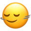 Download Head Shaking Horizontally emoji, Apple style