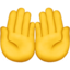Palms Up Together emoji PNG