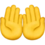 Palms Up Together emoji on iPhone