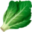 Leafy Green emoji on iPhone