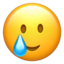 Smiling Face with Tear emoji PNG