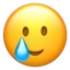 Smiling Face with Tear emoji on iPhone