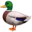 Duck emoji on iPhone