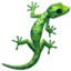 Lizard emoji PNG