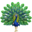 Download Peacock emoji, Apple style
