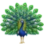 Peacock emoji, Apple design
