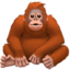 Orangutan emoji PNG