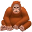 Orangutan emoji on iPhone