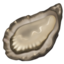 Oyster emoji, Apple design
