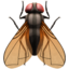 Fly emoji, Apple design