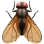Fly emoji on iPhone
