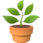 Potted Plant emoji, Apple design