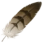 Feather emoji, Apple design