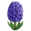 Hyacinth emoji, Apple design