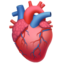 Anatomical Heart emoji, Apple design