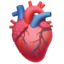 Anatomical Heart emoji on iPhone
