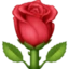 Rose on Facebook