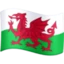Flag: Wales emoji, Facebook design