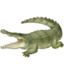 Crocodile emoji, Facebook design