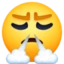 Face with Steam From Nose emoji, Facebook design