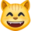 Grinning Cat with Smiling Eyes emoji, Facebook design