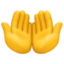 Palms Up Together emoji, Facebook design