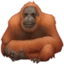 Orangutan emoji, Facebook design