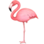 Flamingo emoji, Facebook design