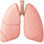 Lungs emoji, Facebook design