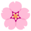 Cherry Blossom emoji, Google design