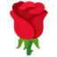 Rose on Google